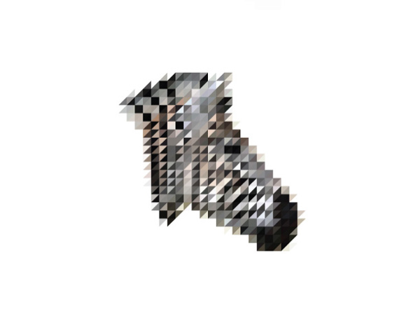 Sliced Pixel by Victor Van Gaasbeek